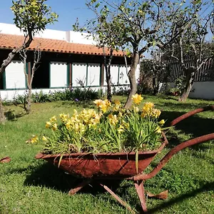Limón Y Sol El Sauzal